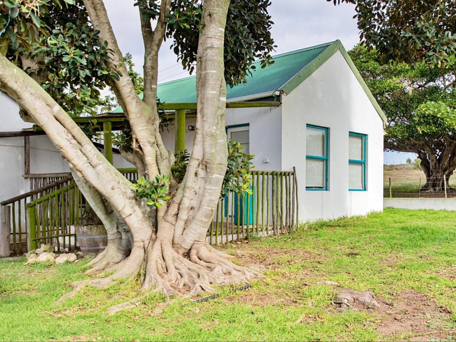Wiggins Self Catering Lägenhet Jacobs Bay Exteriör bild